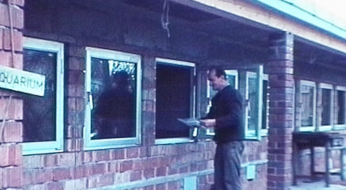 Neubeginn in der Moderne