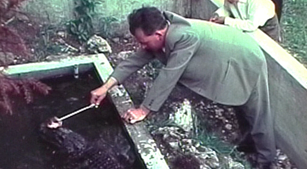 Engagement & preisgekrönte Ufergestaltung