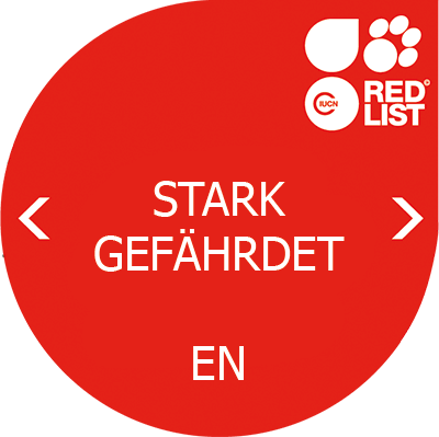 Bedrohungsstatus: EN