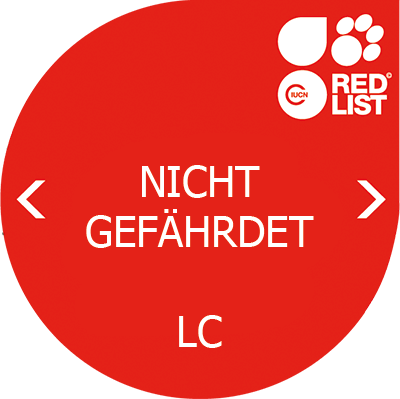 Bedrohungsstatus: LC