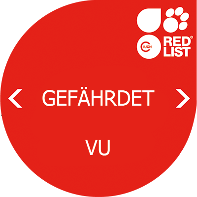 Bedrohungsstatus: VU