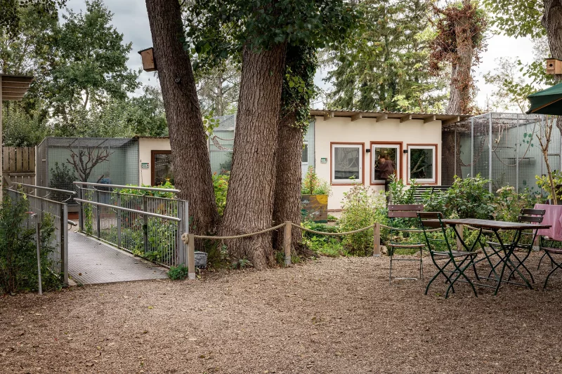 Blick auf die Chinesischen Streifenhörnchen und Lisztäffchen
