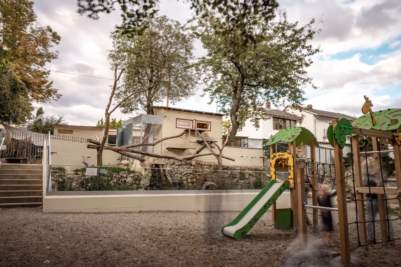 Blick auf den Kinderspielplatz und Waschbären
