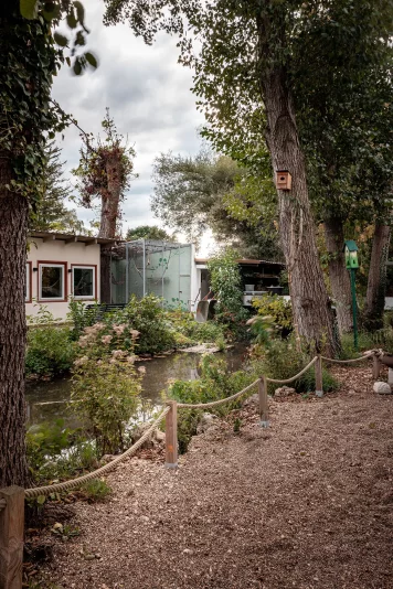 Blick auf die Schutter und Lisztäffchen