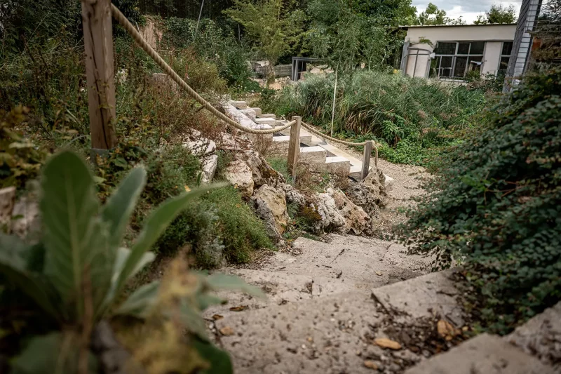 Abgang zum Insektengarten