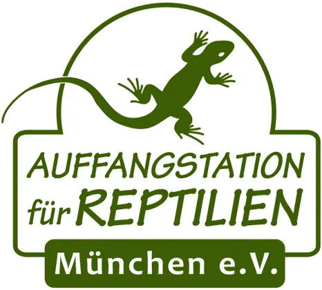 Gerettete Tiere, neues Zuhause – unsere Partnerschaft mit der Reptilienauffangstation München