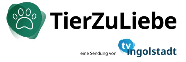 Wenn die Kameras klingeln – TV-Ingolstadt besucht den Wasserstern